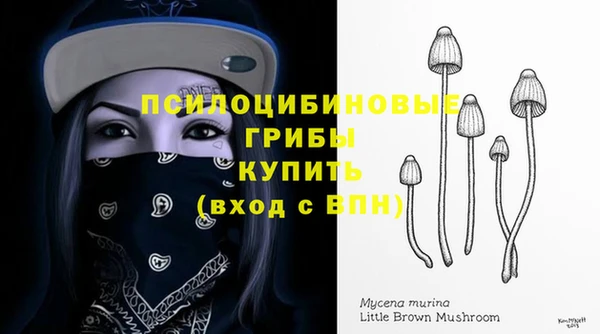 первитин Абдулино