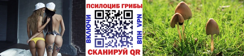 Псилоцибиновые грибы Cubensis Аксай