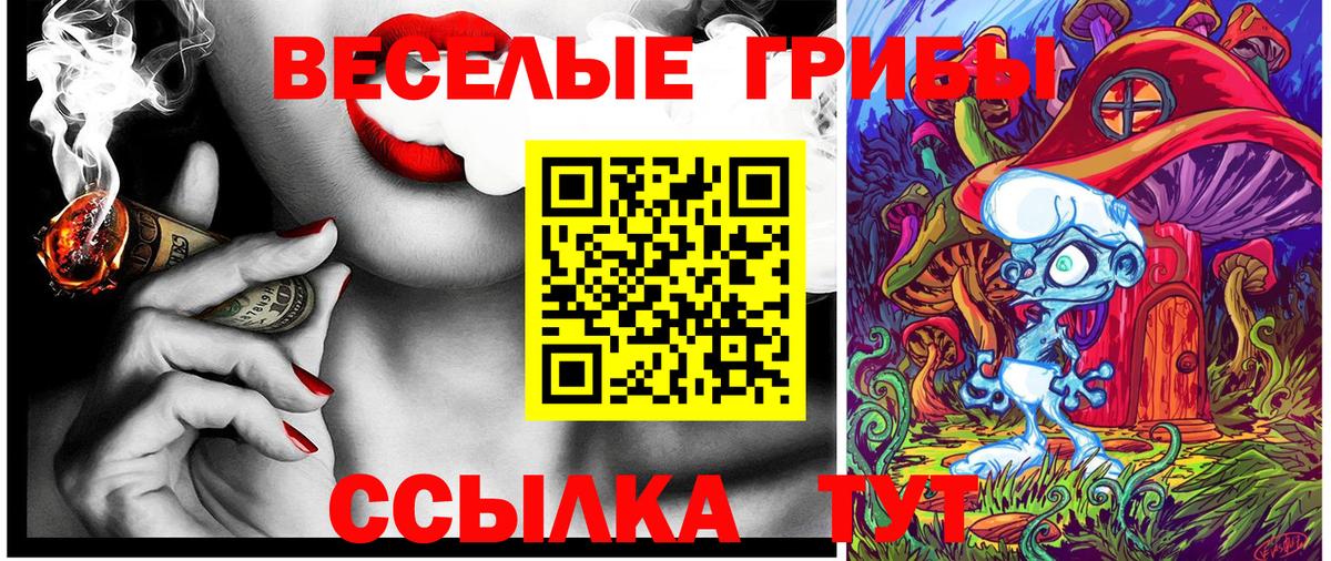 купить наркоту  Вход с VPN  Аксай  Псилоцибиновые грибы Psilocybe 