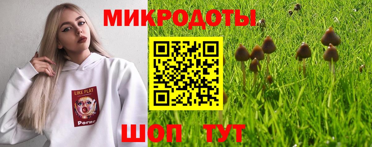 Галлюциногенные грибы Cubensis Аксай